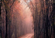 田学斌违纪违法事件：揭开权力滥用黑幕