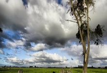 90后小伙领养12岁外甥女，否认卖惨，诠释人间真情