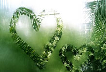 格陵兰岛独立之路：拒绝成为美国领土的坚定决心