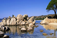 格陵兰岛独立之路：拒绝成为美国领土的坚定决心